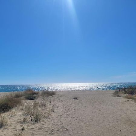 Joli Studio Bleu Mer Canet-en-Roussillon Kültér fotó